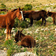 Malorca - Serra de Llevant 02