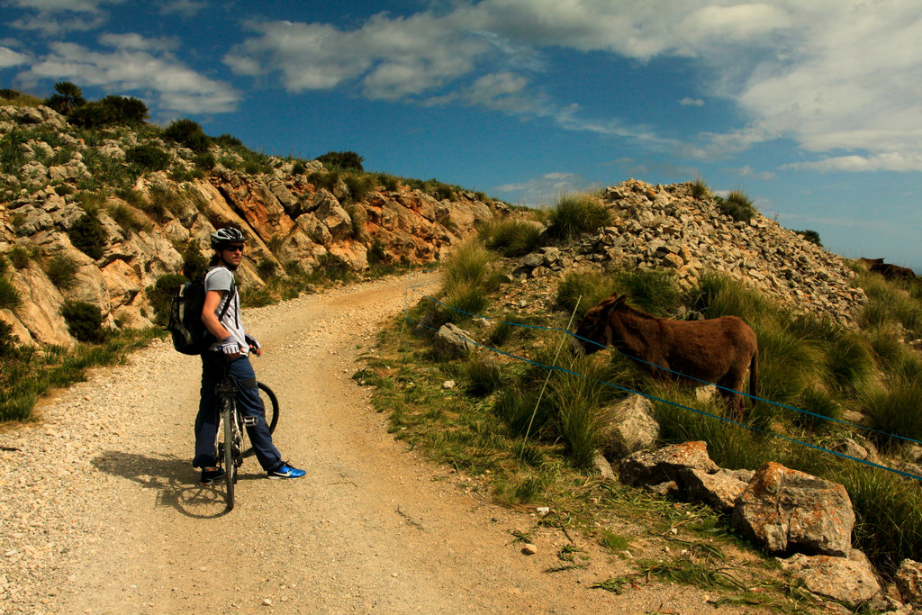 Mallorca - biking in Serra de Llevant 01