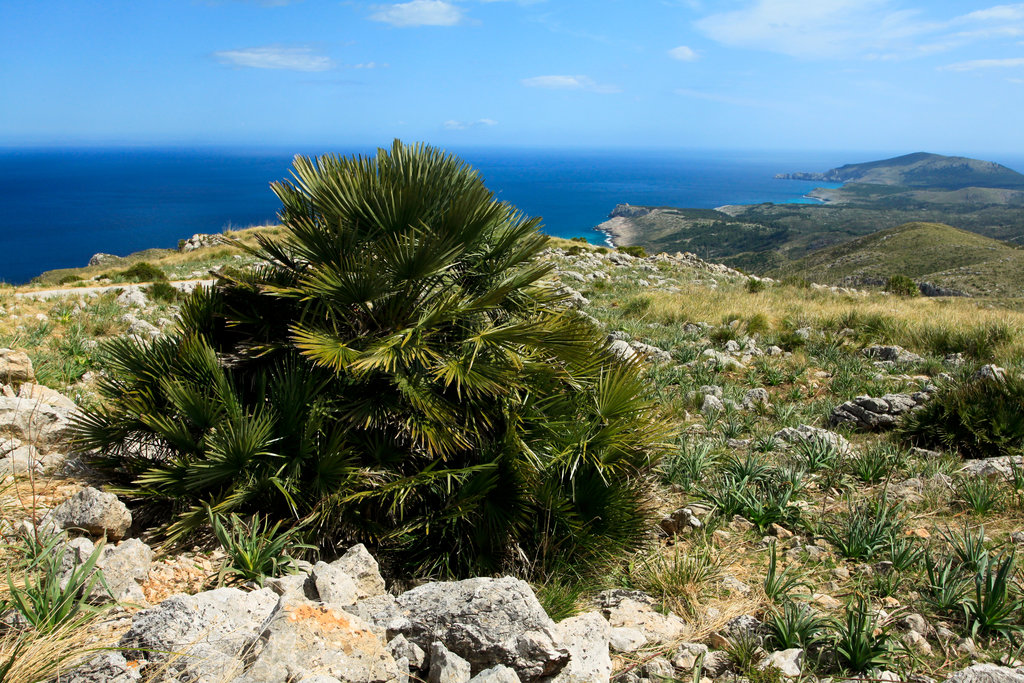 Mallorca - biking in Serra de Llevant 04