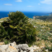 Mallorca - biking in Serra de Llevant 04