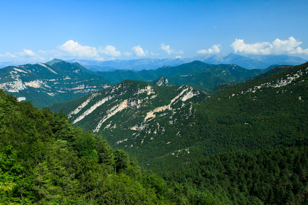 Pyrenees - a view from Treu Gross