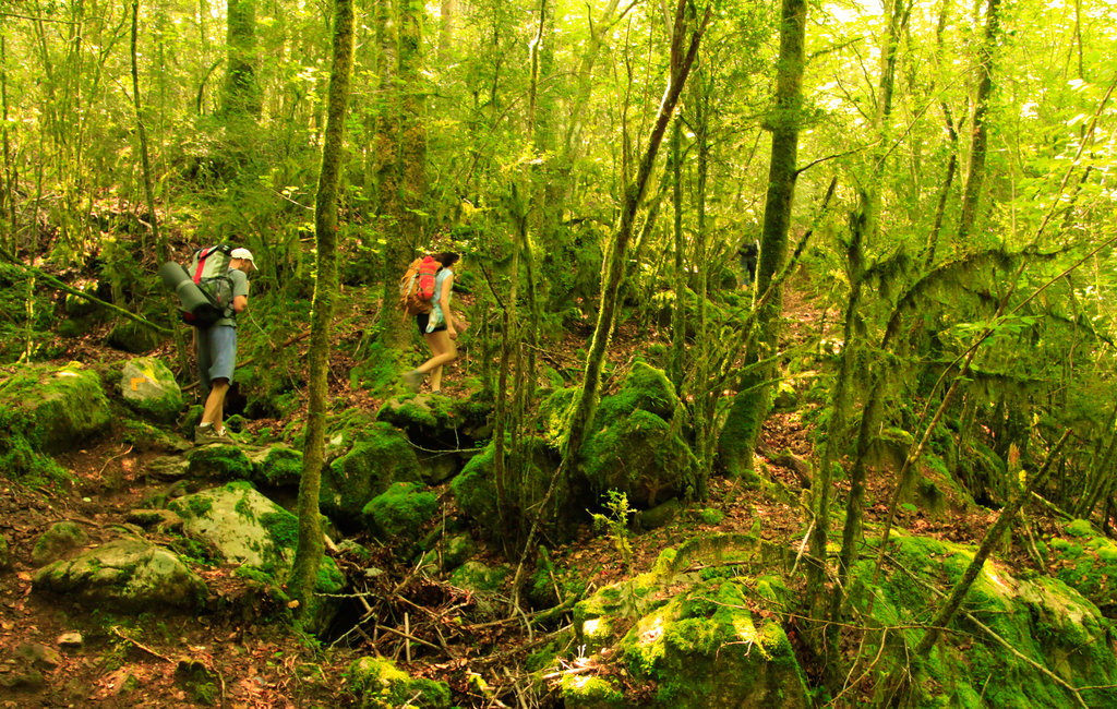 Pyrenees - around Bassegoda circuit 03