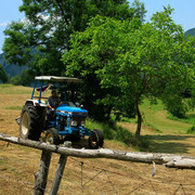 Pyrenees - around Bassegoda circuit 05