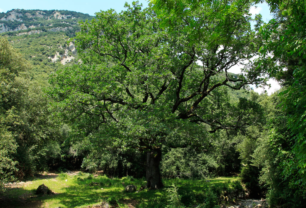 Pyrenees - around Bassegoda circuit 08