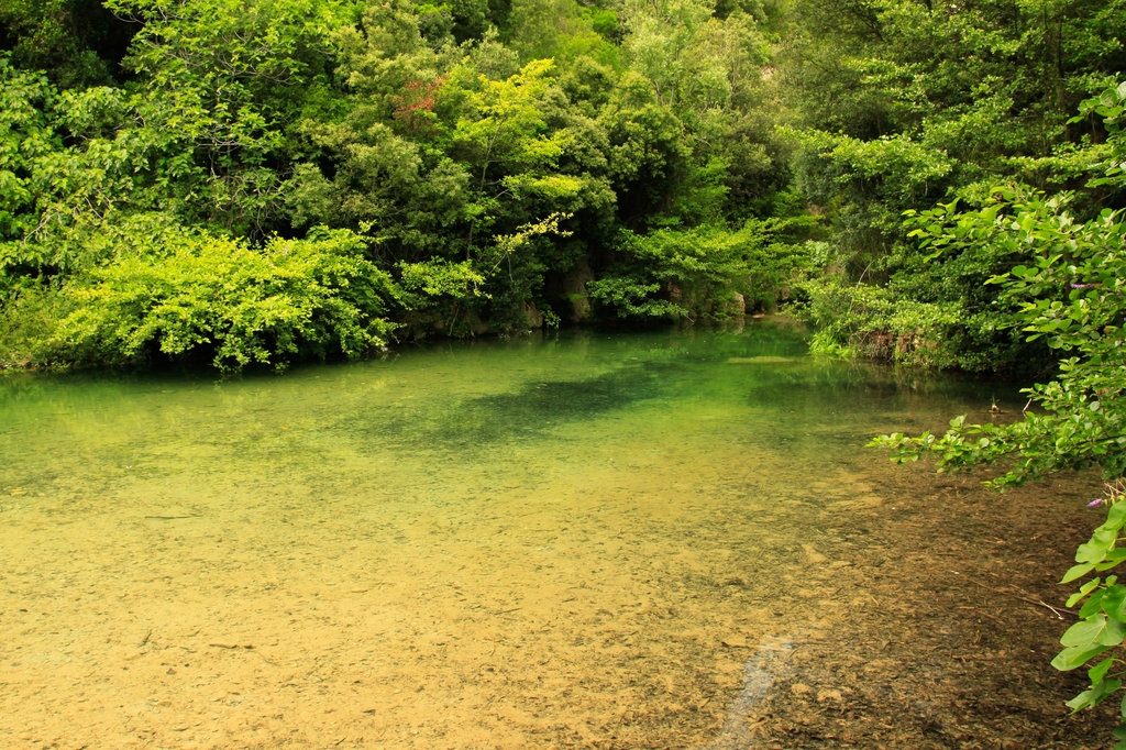 Pyrenees - Sant Aniol 01