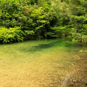 Pyrenees - Sant Aniol 01