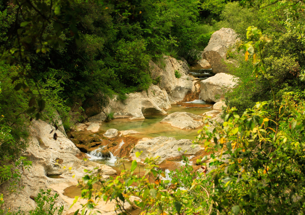 Pyrenees - Sant Aniol 02