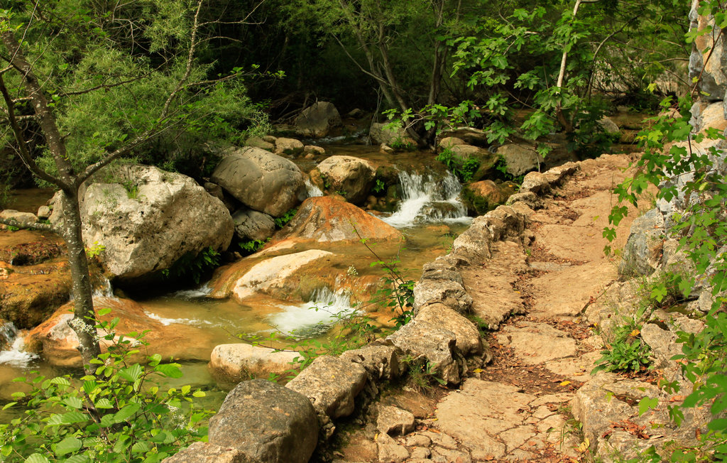 Pyrenees - Sant Aniol 03