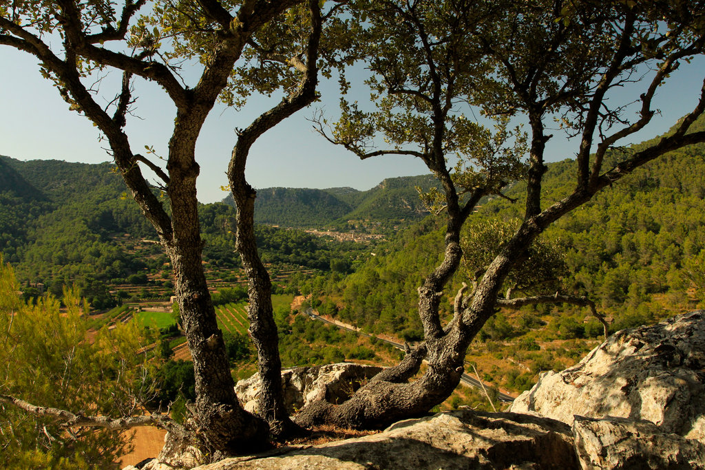 Mallorca - a view of Valldemosa from S'Estret 01