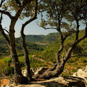 Mallorca - a view of Valldemosa from S'Estret 01