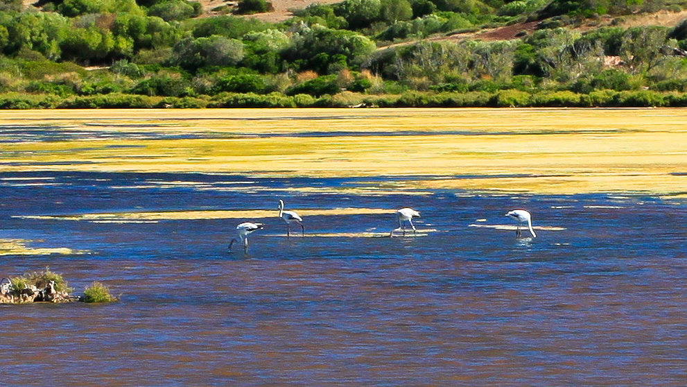 Menorca - ses Salines close to Addaia 02