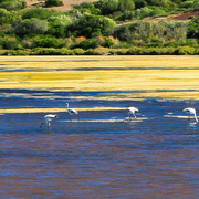 Menorca - ses Salines close to Addaia 02