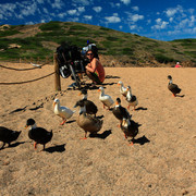 Menorca - Camino de caballos on bike 10