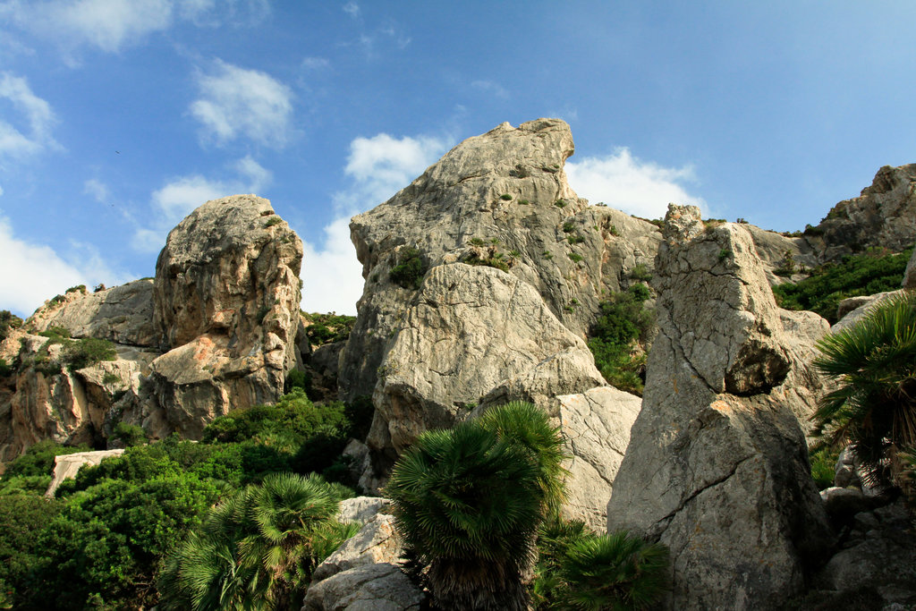 Mallorca - Boquer valley 02