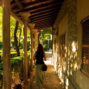 A garden nearby the Chopin Festival Association in Valldemosa