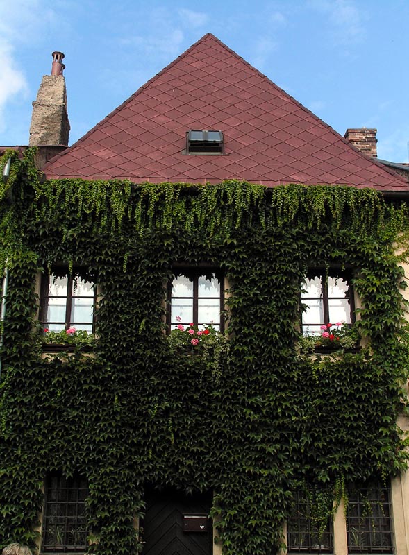 Czechia - a house in Kutna Hora