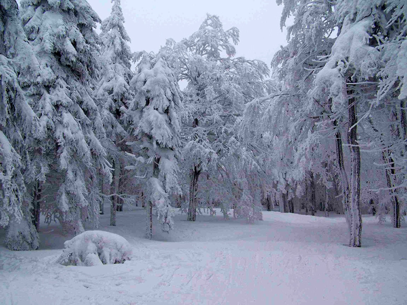 Beautiful Czech winter