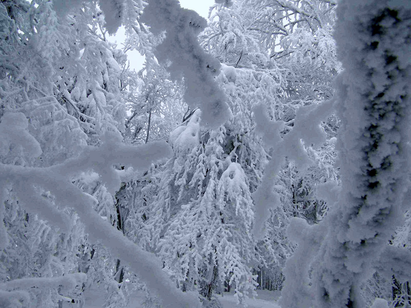 Eagle Mountains - white beauty