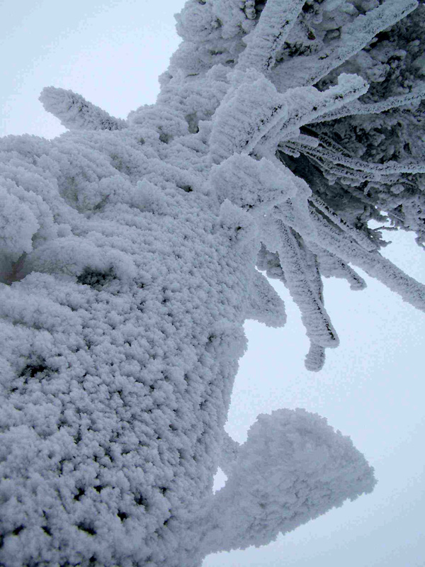 Eagle Mountains - winter beauty