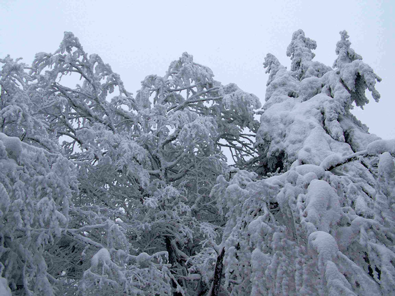 Eagle Mountains - winter nature