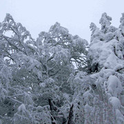 Eagle Mountains - winter nature