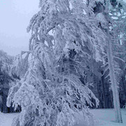 Eagle Mountains - white and quiet