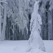 Orlické mountains - snow creations