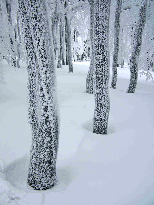 Czech winter beauty