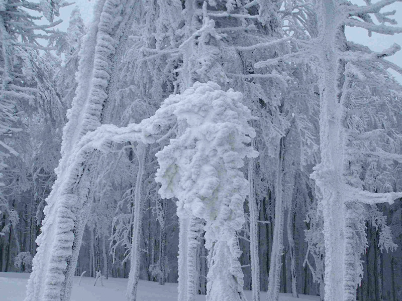 Winter time in Eagle Mountains (Czechia)