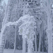 Winter time in Eagle Mountains (Czechia)