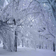 Winter time in Orlické hory (Česko)