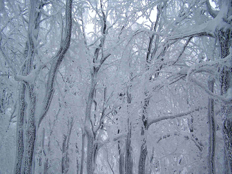 Winter time in Deštné - Eagle Mountains