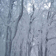 Winter time in Deštné - Eagle Mountains