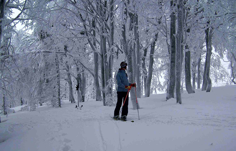 Paula skiing in the forest - Eagle Mountains