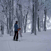 Paula skiing in the forest - Eagle Mountains
