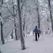 Paula skiing in the forest - Orlické Mountains