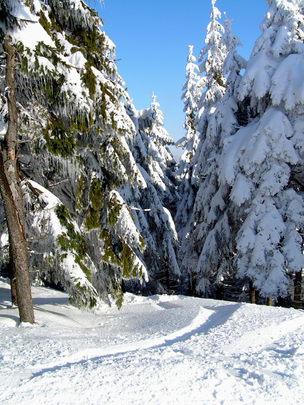 Eagle Mountains - Deštné