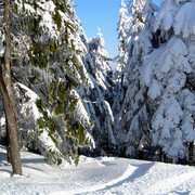 Eagle Mountains - Deštné