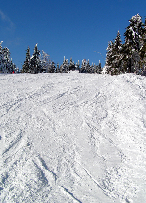 Eagle Mountains - downhill route in Deštné