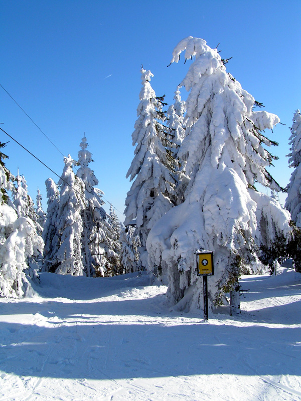 Orlické hory (Eagle Mountains) - a downhill route in Deštné