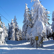 Orlické hory (Eagle Mountains) - a downhill route in Deštné