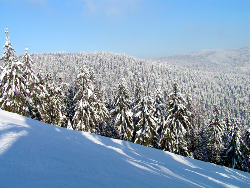 Eagle Mountains (Orlické hory)