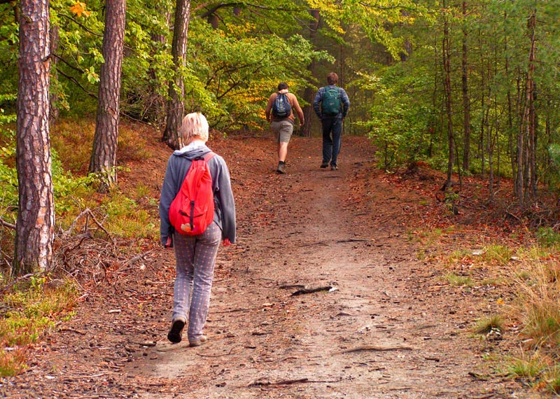 Czechia - trekking in Kokořínsko 03