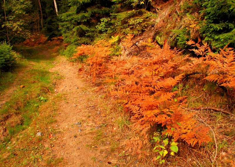 Czechia - trekking in Kokořínsko 04