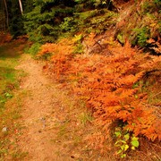 Czechia - trekking in Kokořínsko 04