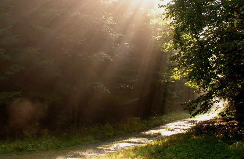 Czechia - trekking in Kokořínsko 07