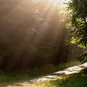 Czechia - trekking in Kokořínsko 07