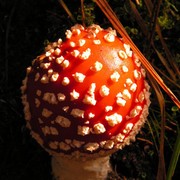 Czechia - trekking in Kokořínsko 10