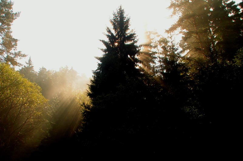 Czechia - trekking in Kokořínsko 12