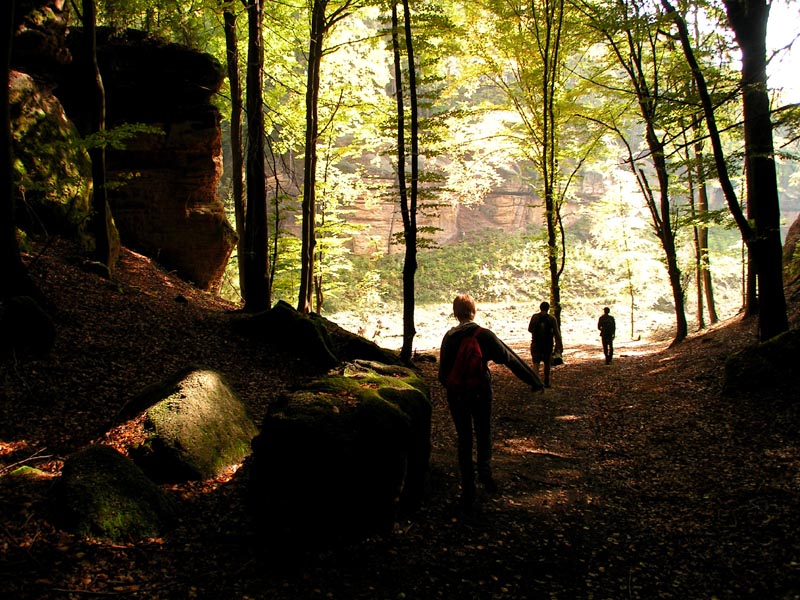 Czechia - trekking in Kokořínsko 17